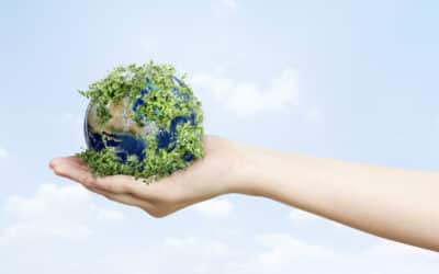 La importancia del cuidado del medio ambiente: hacia un futuro sostenible